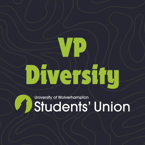 VP Diversity